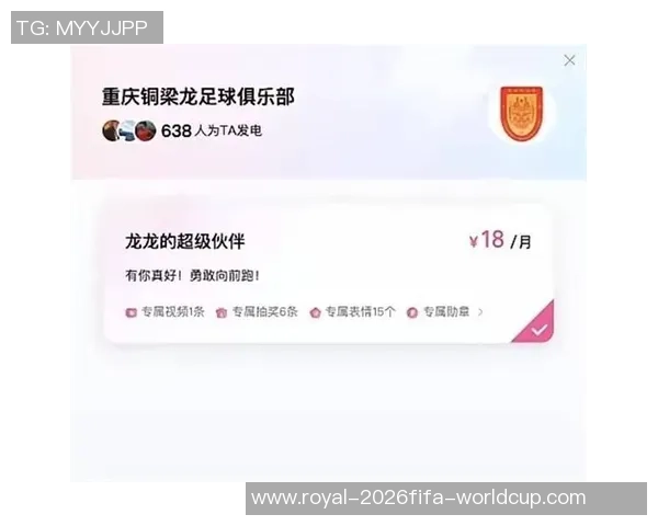 足球票价钱的变化对球迷观赛体验的影响与分析